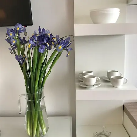 Blu Oltremare _apartmant 公寓 扎达尔